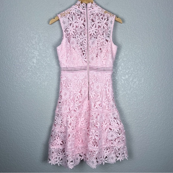 Bardot Elise Lace Dress, Washed Pink 6 - Sleeveless, Feminine, Sexy, EUC, Small - Picture 7 of 13